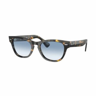 Ray Ban RB2201-13323F 54 Laramie