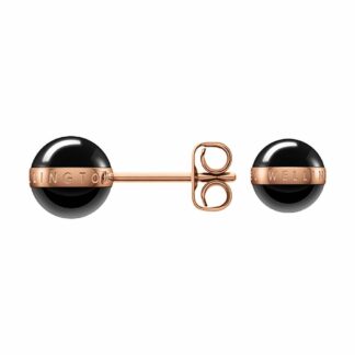 Daniel Wellington DW00400151 Aspiration Earrings