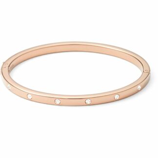 FOSSIL NAKIT JF00843791