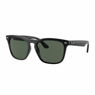 Ray Ban RB4487-662971 54 Steve