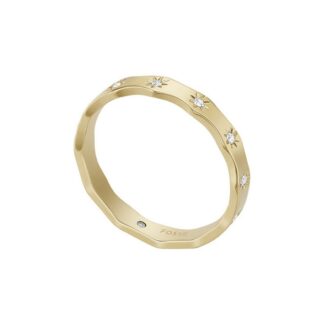 Fossil JF04383710/170