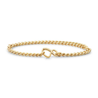 Sparkling LK-CBG-018 Curb Chain Gold Plated