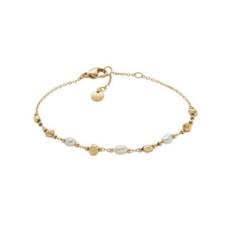 SKAGEN NAKIT SKJ1880710