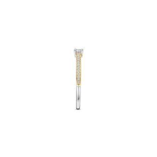 Ti Sento 12400ZY/52