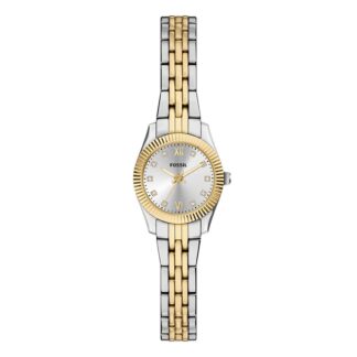 FOSSIL ES5473