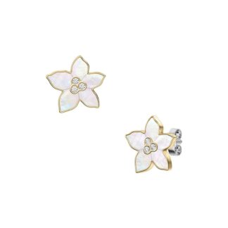 FOSSIL NAKIT JF04973710